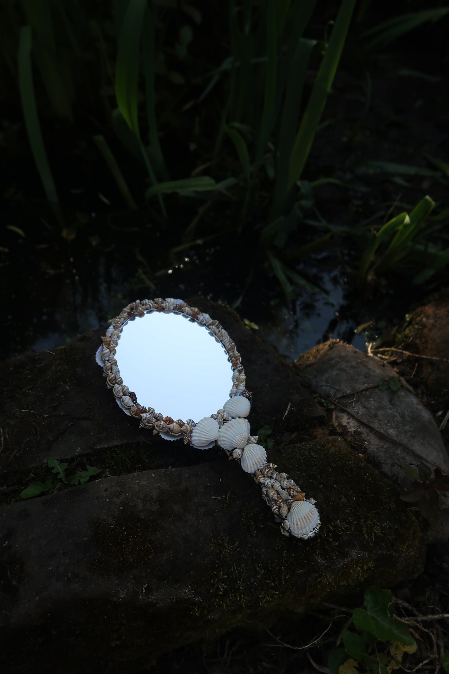 SIREN SEASHELL MIRROR