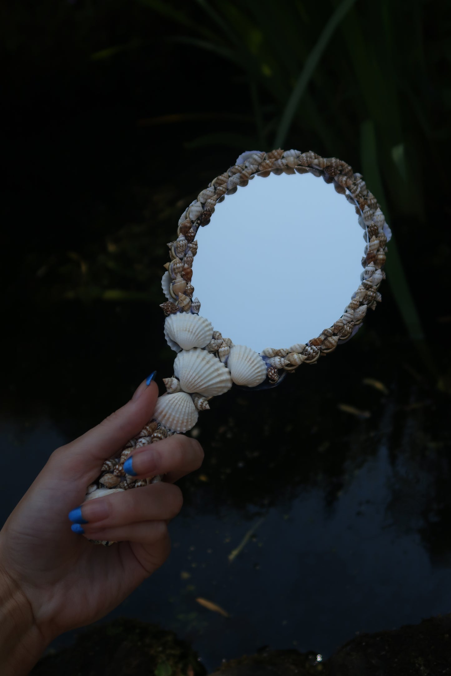 SIREN SEASHELL MIRROR