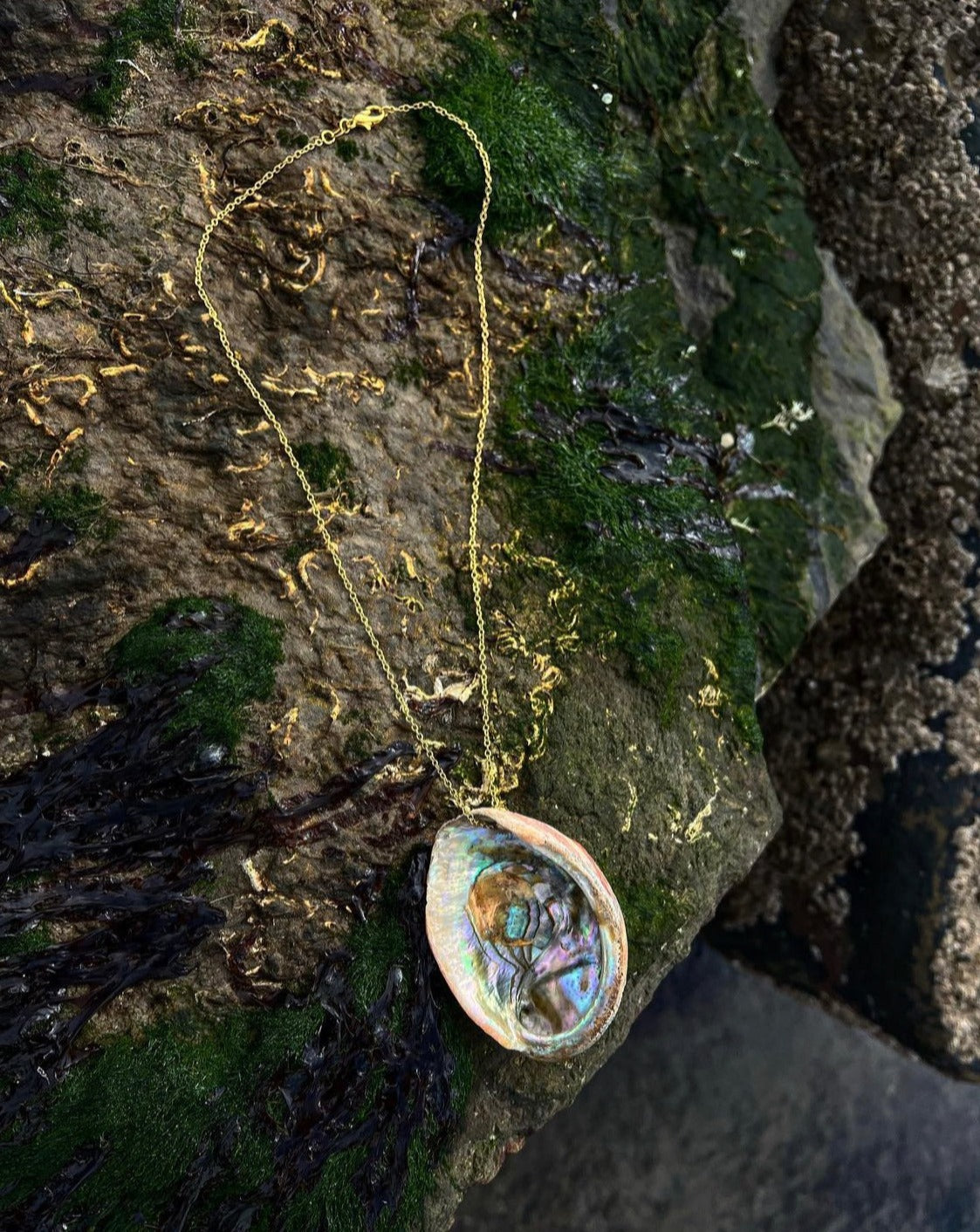 ABALONE SHELL NECKLACE