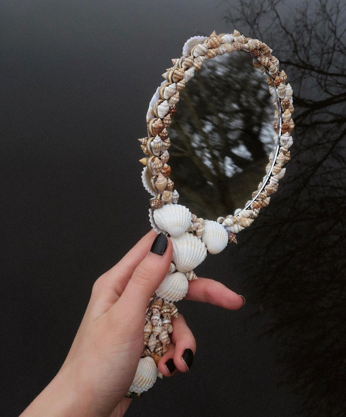 SIREN SEASHELL MIRROR