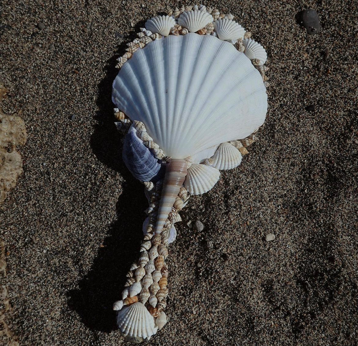 SIREN SEASHELL MIRROR