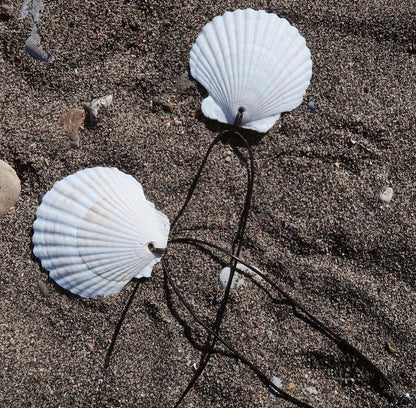 SCALLOP SHELL NECKLACE